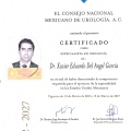 Ampliar imagen: certificate 1