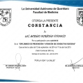 Ampliar imagen: certificate 19
