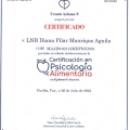 Ampliar imagen: certificate 2