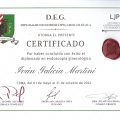 Ampliar imagen: certificate 16