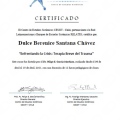 Ampliar imagen: certificate 6