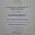 Ampliar imagen: certificate 3