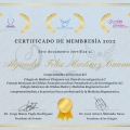 Ampliar imagen: certificate 38