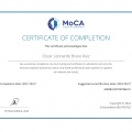 Ampliar imagen: certificate 3