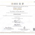 Ampliar imagen: certificate 5