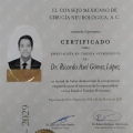 Ampliar imagen: certificate 1