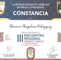 Ampliar imagen: certificate 7