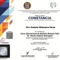 Ampliar imagen: certificate 9