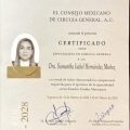 Ampliar imagen: certificate 3