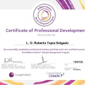 Ampliar imagen: certificate 4