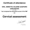Ampliar imagen: certificate 5