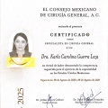 Ampliar imagen: certificate 3