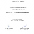 Ampliar imagen: certificate 20