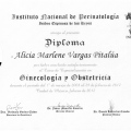 Ampliar imagen: certificate 2
