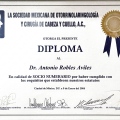 Ampliar imagen: certificate 5