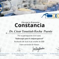 Ampliar imagen: certificate 75