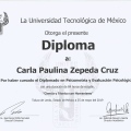 Ampliar imagen: certificate 5