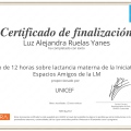 Ampliar imagen: certificate 6