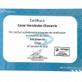 Ampliar imagen: certificate 3