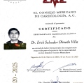 Ampliar imagen: certificate 3