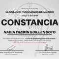 Ampliar imagen: certificate 4