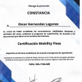 Ampliar imagen: certificate 7