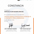 Ampliar imagen: certificate 1