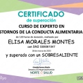 Ampliar imagen: certificate 5