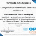 Ampliar imagen: certificate 9