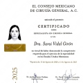 Ampliar imagen: certificate 3