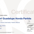 Ampliar imagen: certificate 1