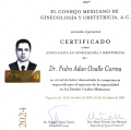 Ampliar imagen: certificate 4
