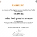 Ampliar imagen: certificate 8