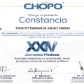 Ampliar imagen: certificate 23