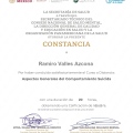 Ampliar imagen: certificate 9