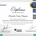 Ampliar imagen: certificate 7
