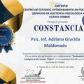 Ampliar imagen: certificate 1