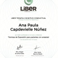 Ampliar imagen: certificate 1