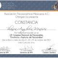 Ampliar imagen: certificate 17