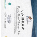 Ampliar imagen: certificate 15