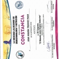 Ampliar imagen: certificate 9