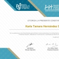 Ampliar imagen: certificate 4
