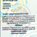 Ampliar imagen: certificate 4