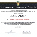 Ampliar imagen: certificate 19