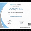 Ampliar imagen: certificate 7