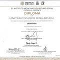 Ampliar imagen: certificate 5