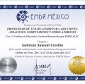Ampliar imagen: certificate 4