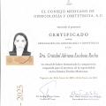Ampliar imagen: certificate 5