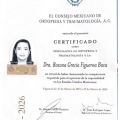 Ampliar imagen: certificate 3