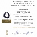 Ampliar imagen: certificate 2